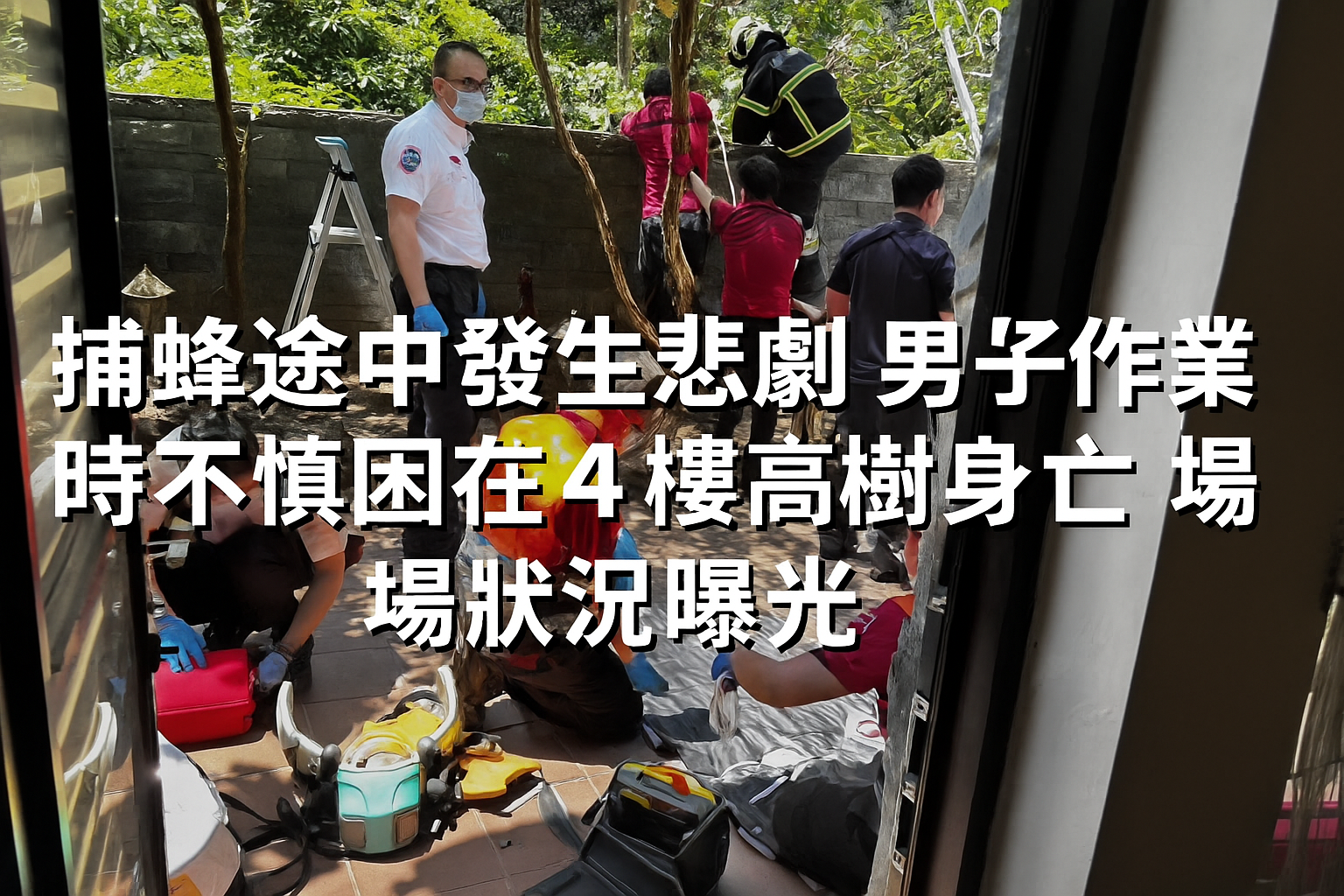 捕蜂發生悲劇 男子作業不慎 困樹上身亡