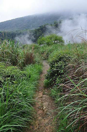陽明山 登山道 可疑背包 藏有白骨遺骸 tu娛樂城、百家樂